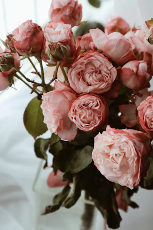 A lush bouquet of soft pink roses elegantly arranged in a clear glass vase against a minimalist white background.