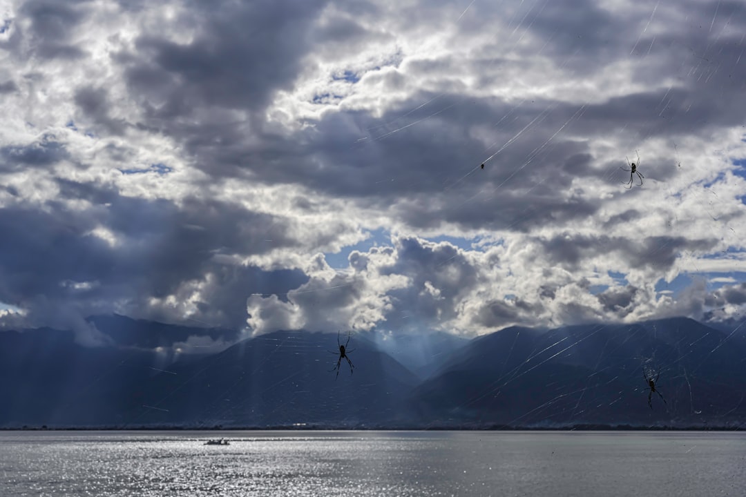 body of water under cloudy sky during daytime