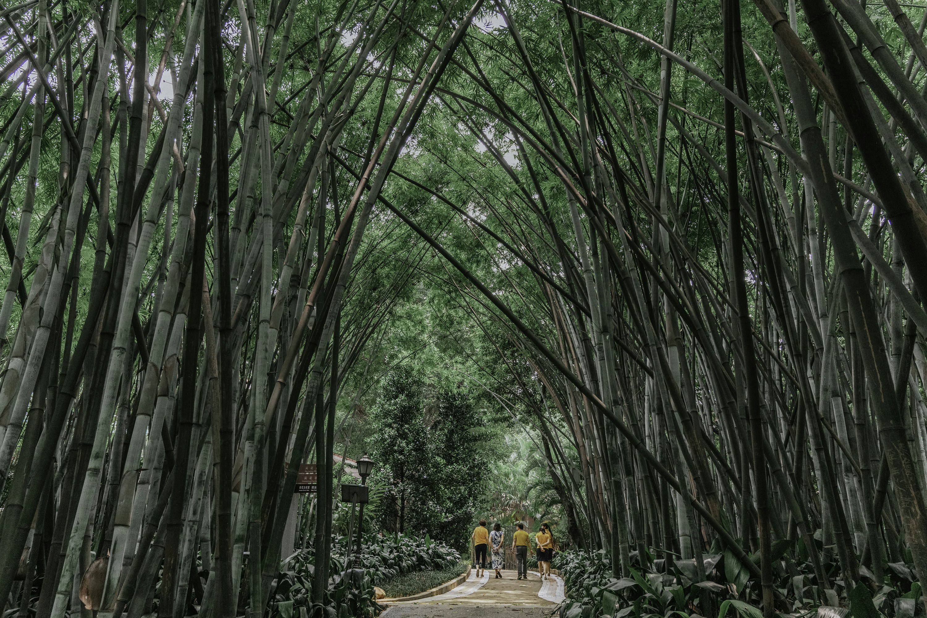 Photo by mayear2019