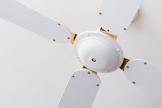 A close-up view of a white ceiling fan with four blades. The fan is mounted on the ceiling with a minimalistic design, featuring metallic screws at the base of each blade. The white color of the fan blends into the ceiling, providing a clean and simple aesthetic.