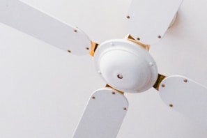 A close-up view of a white ceiling fan with four blades. The fan is mounted on the ceiling with a minimalistic design, featuring metallic screws at the base of each blade. The white color of the fan blends into the ceiling, providing a clean and simple aesthetic.