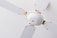A close-up view of a white ceiling fan with four blades. The fan is mounted on the ceiling with a minimalistic design, featuring metallic screws at the base of each blade. The white color of the fan blends into the ceiling, providing a clean and simple aesthetic.
