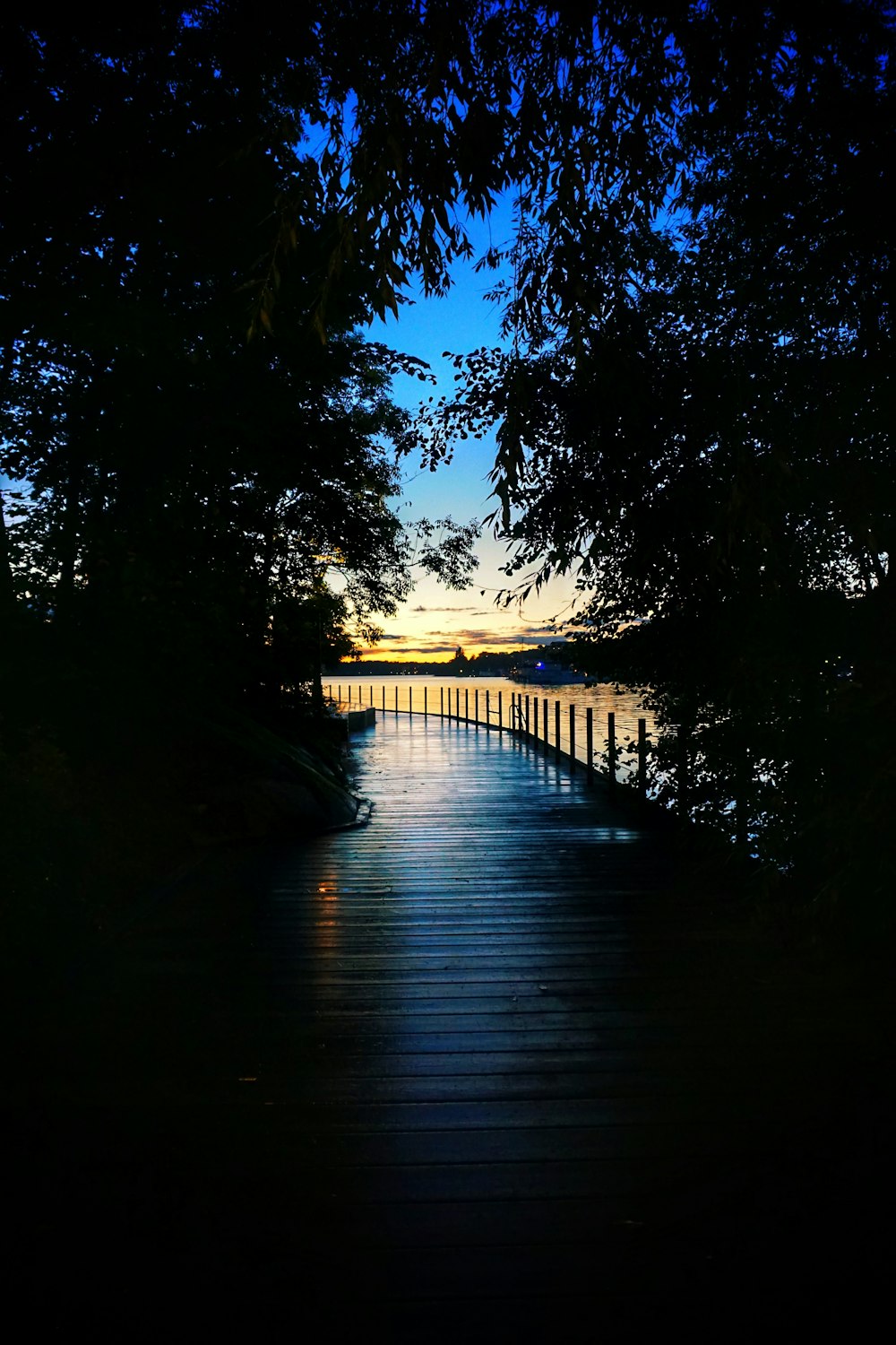 silhouette of trees near body of water during night time