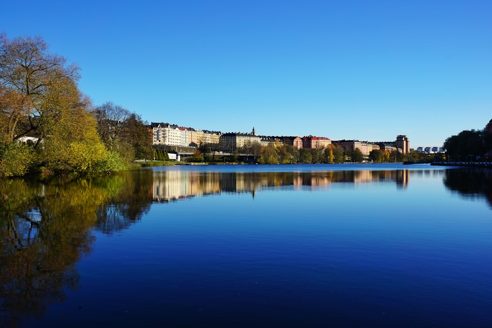 green trees beside lake under blue sky during daytime