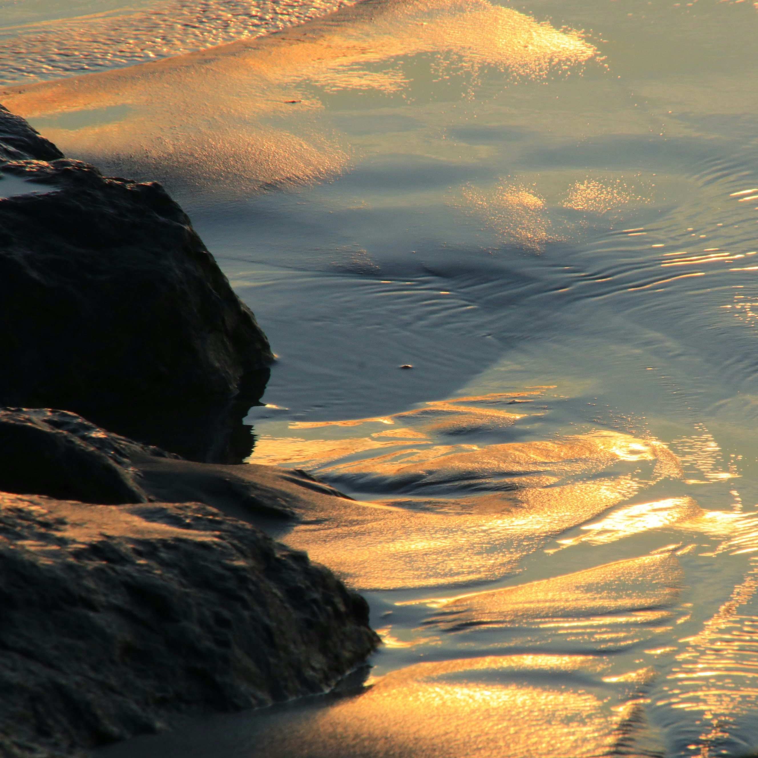 Photo by zeeman_photos63