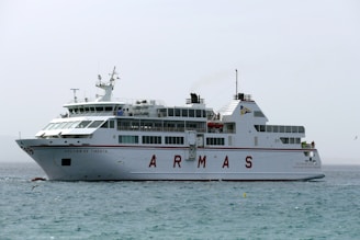 white cruise ship on sea during daytime