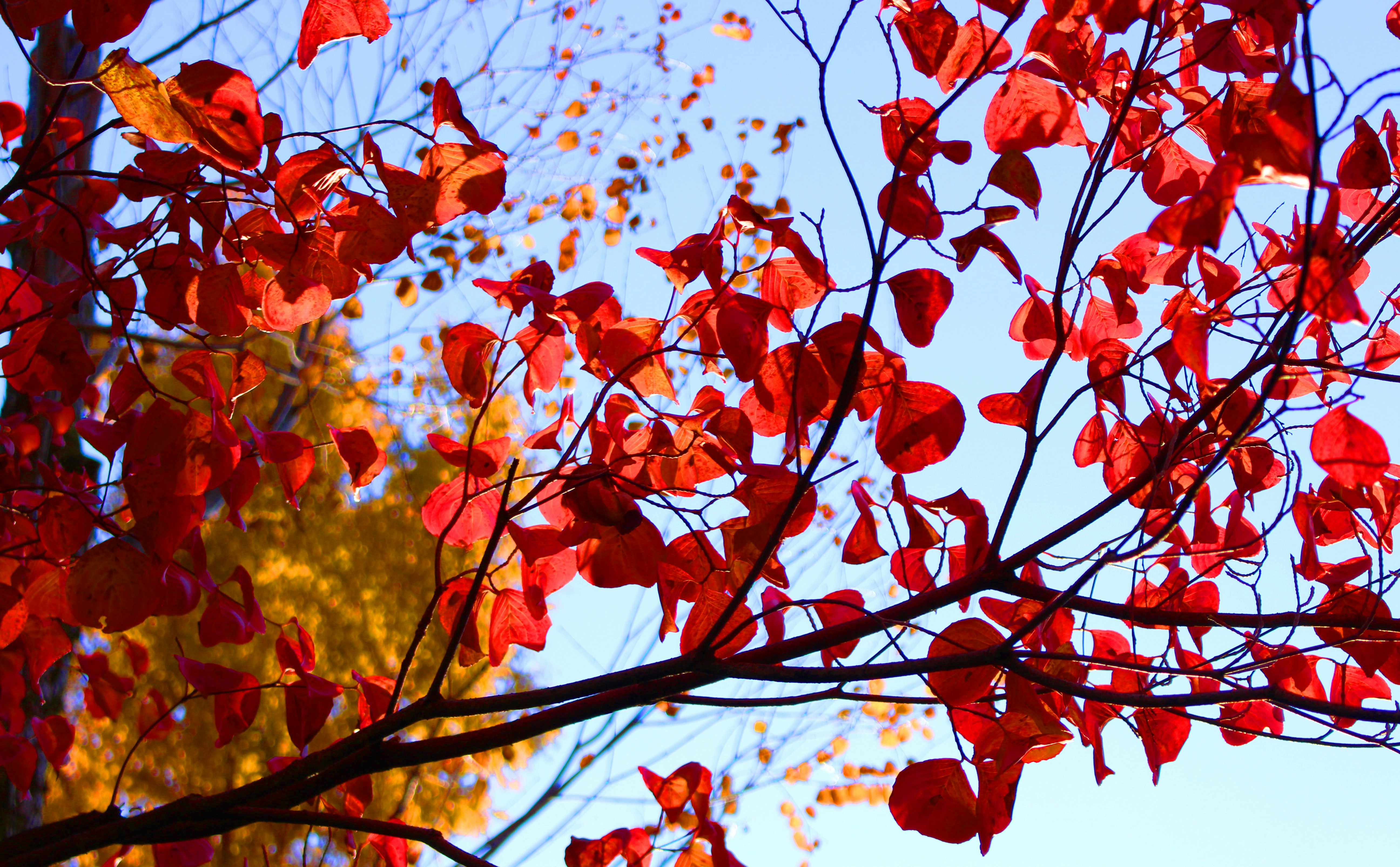 Photo by imperfectbloom