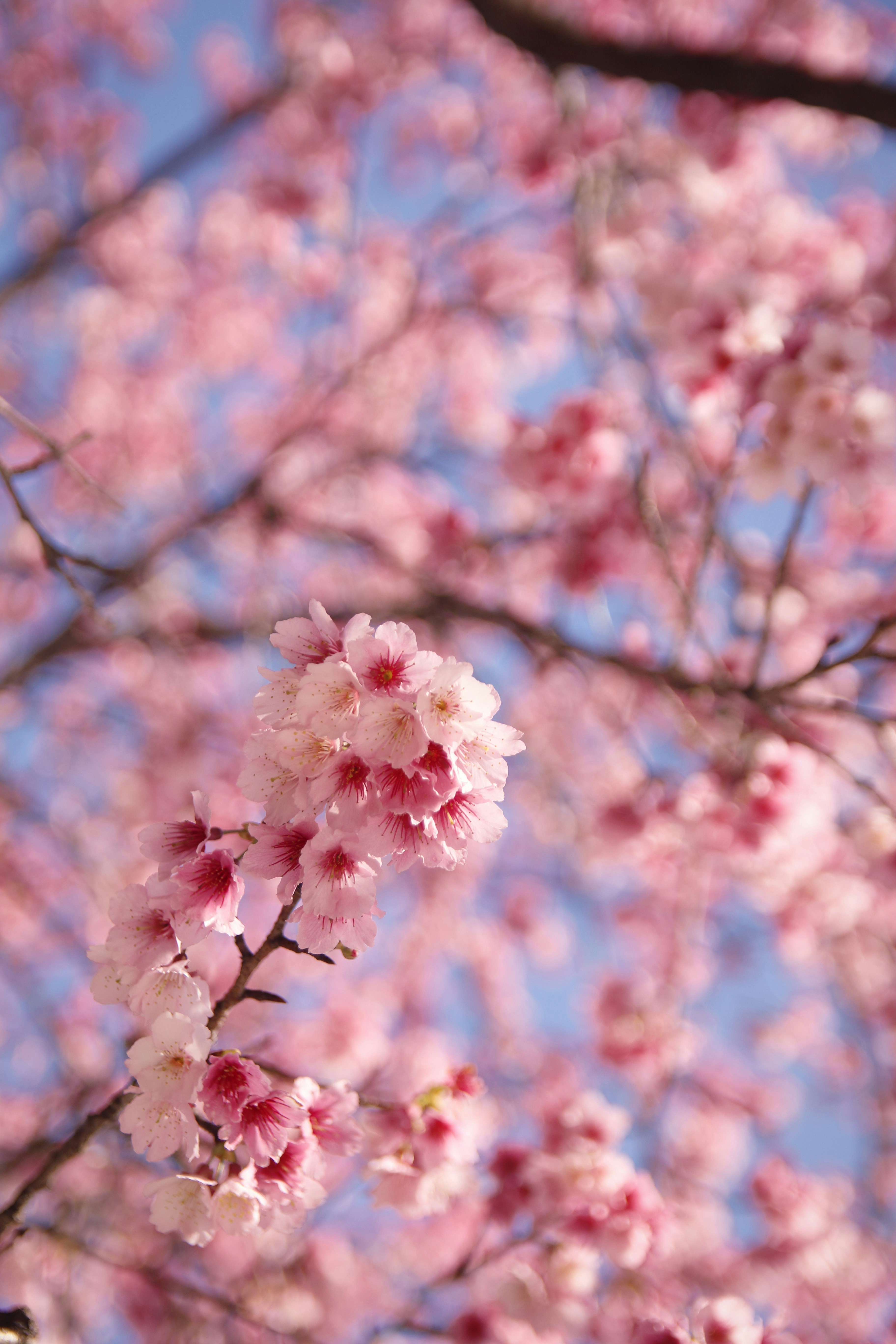 Photo by benjamin_1017