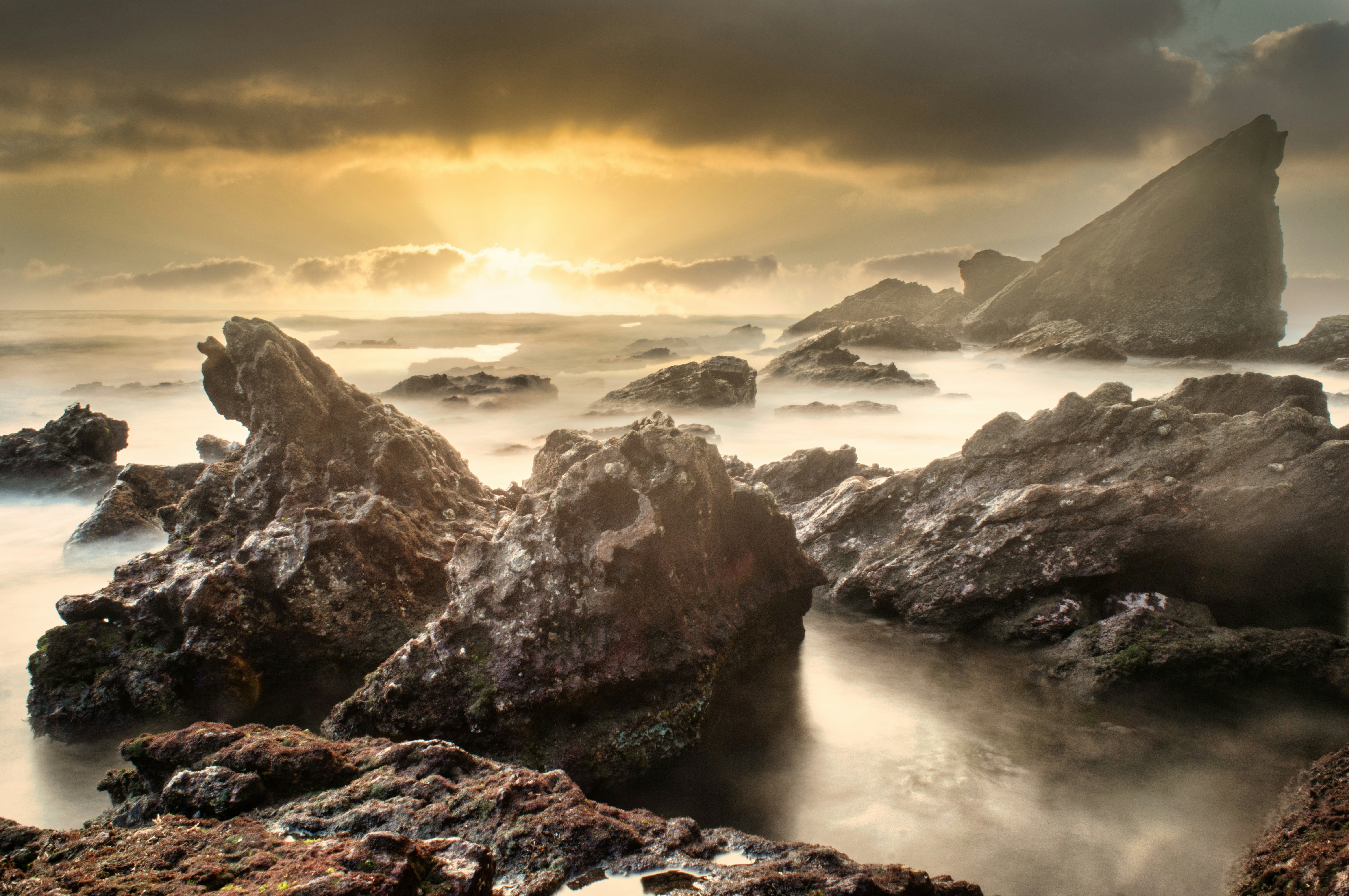 Photo by satyadeep_d