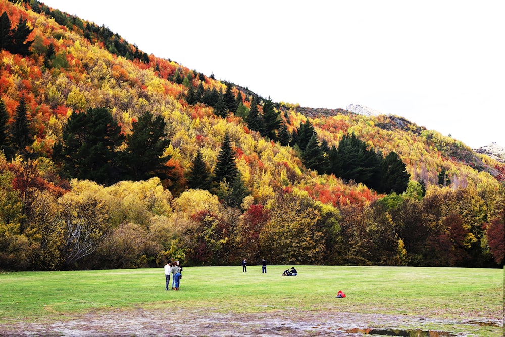 2 people walking on green grass field near trees during daytime