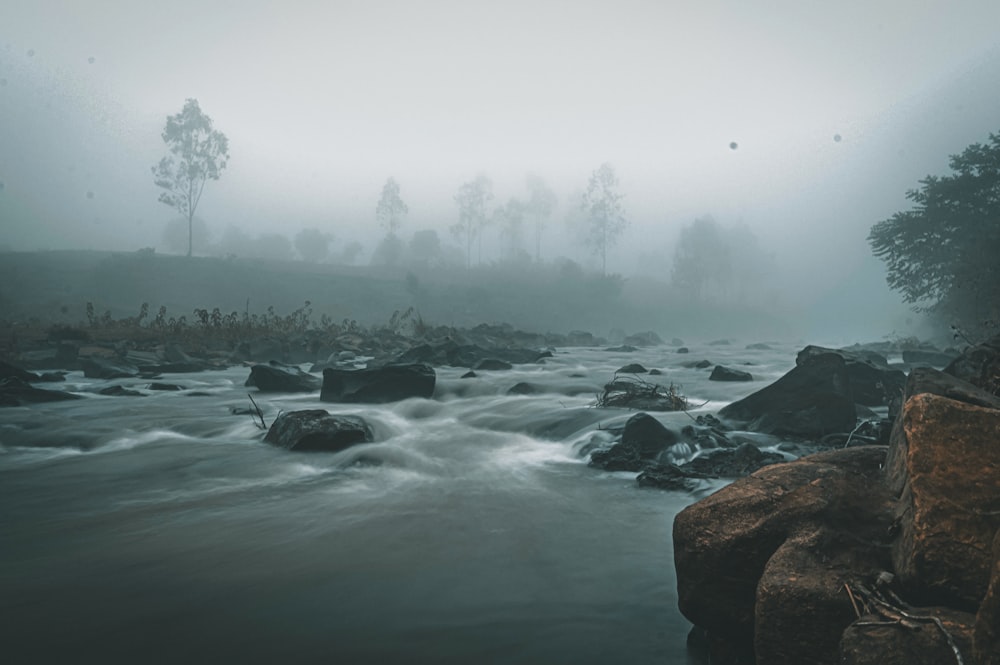 昼間の水域の黒い岩層