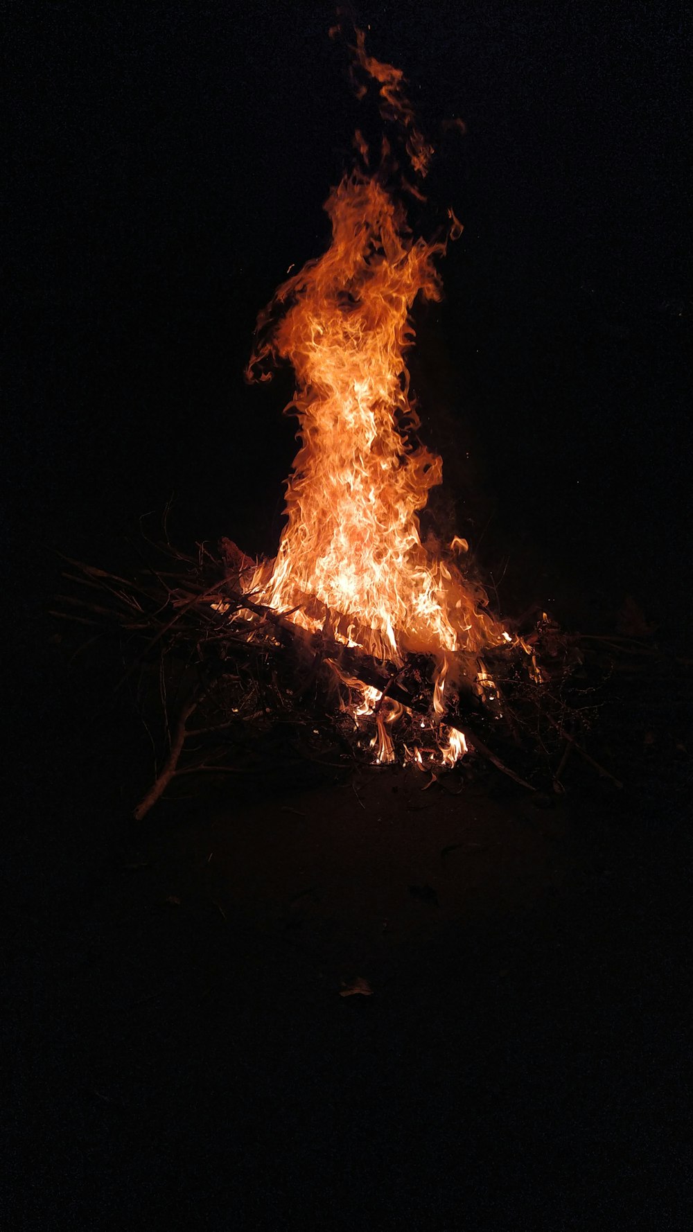 fire in the middle of the woods