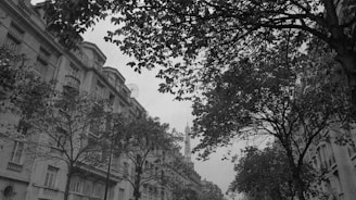 A black and white photograph featuring an urban street scene with tall buildings on either side, partially obscured by dense tree branches. The architecture includes classic facades with balconies and ornate details. Trees arch overhead, framing the composition and creating a canopy effect.
