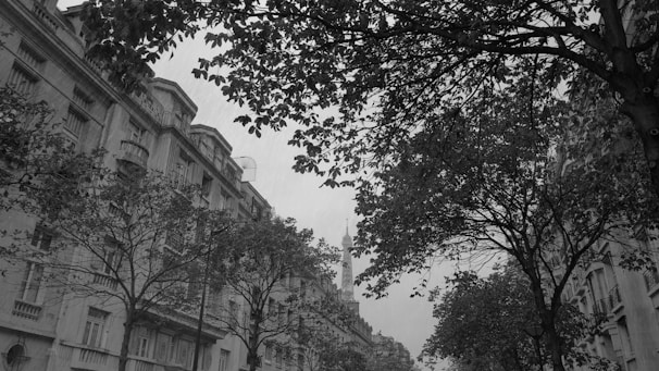A black and white photograph featuring an urban street scene with tall buildings on either side, partially obscured by dense tree branches. The architecture includes classic facades with balconies and ornate details. Trees arch overhead, framing the composition and creating a canopy effect.