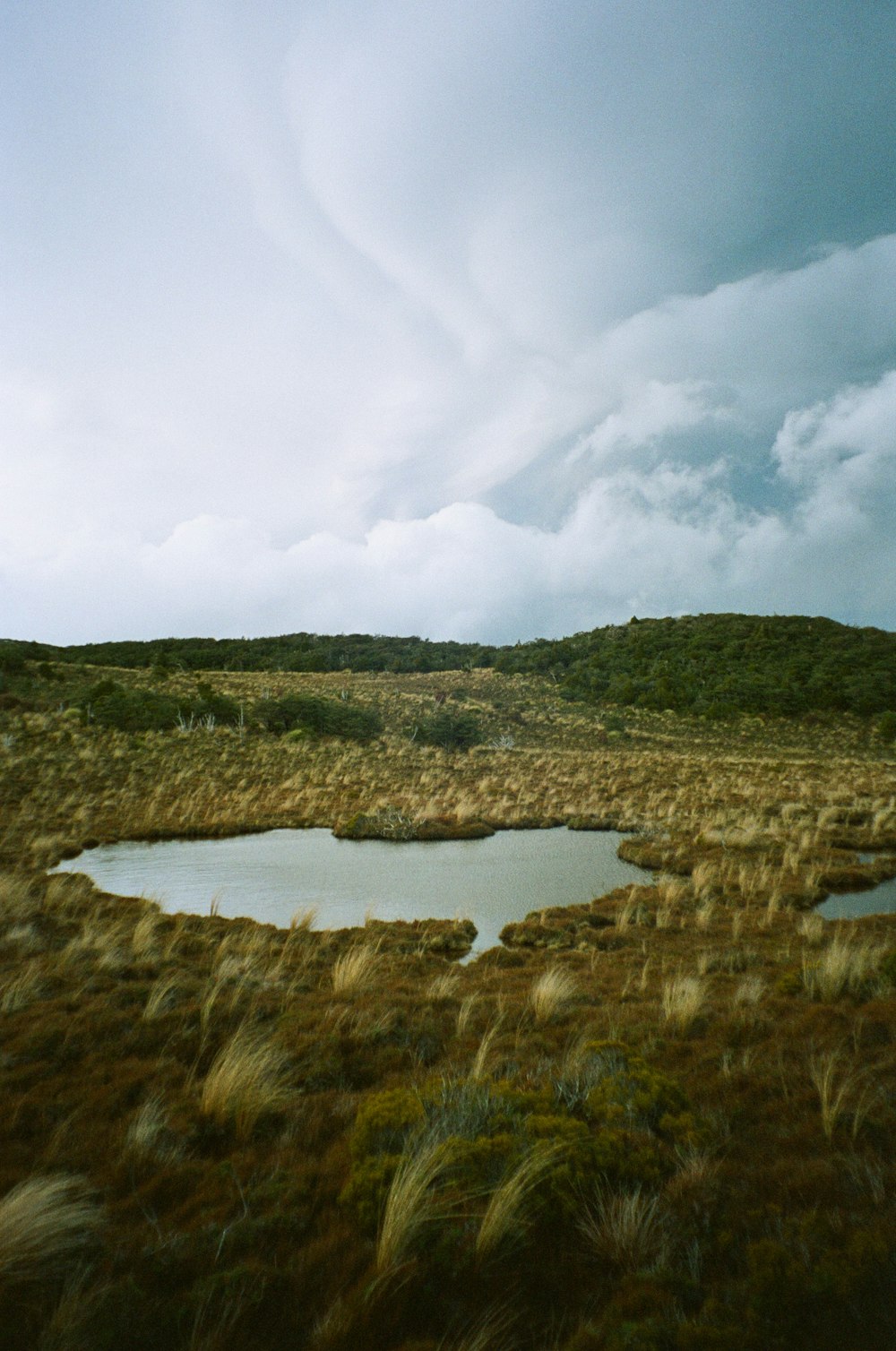 green grass field near lake under white clouds during daytime