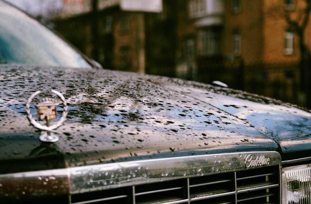 water droplets on car hood