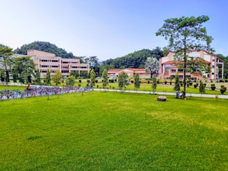 A green lawn stretches across the foreground, bordered by neatly arranged small trees and bushes. In the background, there are academic buildings with modern architecture nestled among taller trees. A row of parked bicycles lines the path, and a few people are casually sitting on the grass, adding a relaxed atmosphere to the scene.