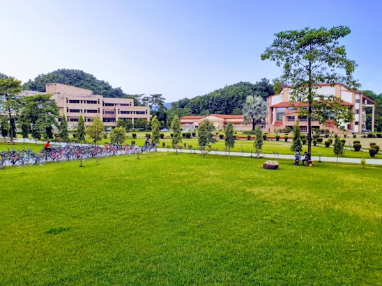 A green lawn stretches across the foreground, bordered by neatly arranged small trees and bushes. In the background, there are academic buildings with modern architecture nestled among taller trees. A row of parked bicycles lines the path, and a few people are casually sitting on the grass, adding a relaxed atmosphere to the scene.
