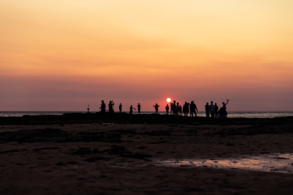 silhouette of people on beach during sunset