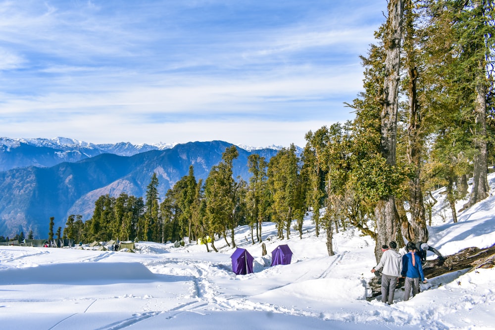 people sitting on snow covered ground near green trees during daytime