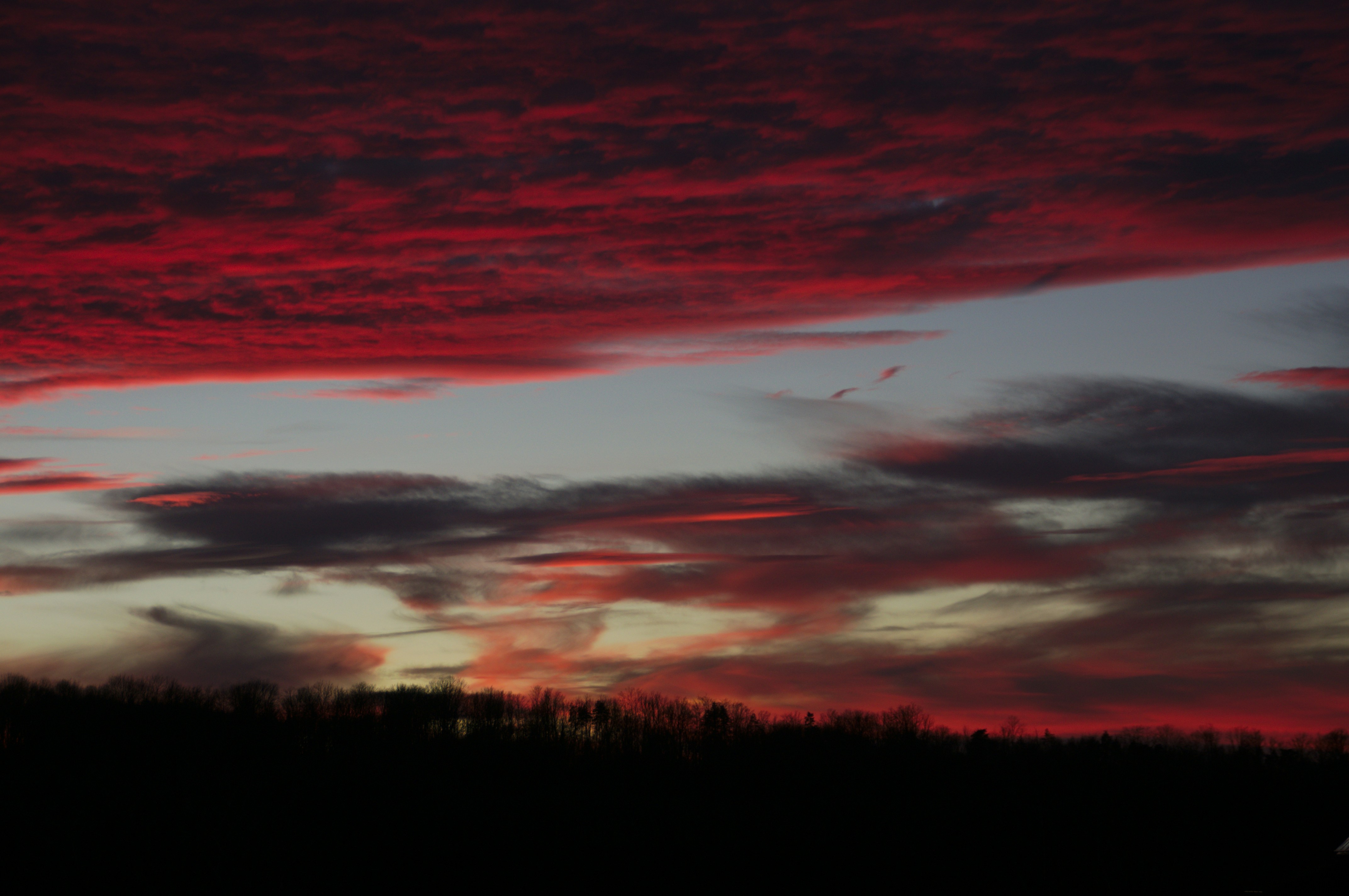 silhouette of trees under orange and gray cloudy sky during sunset