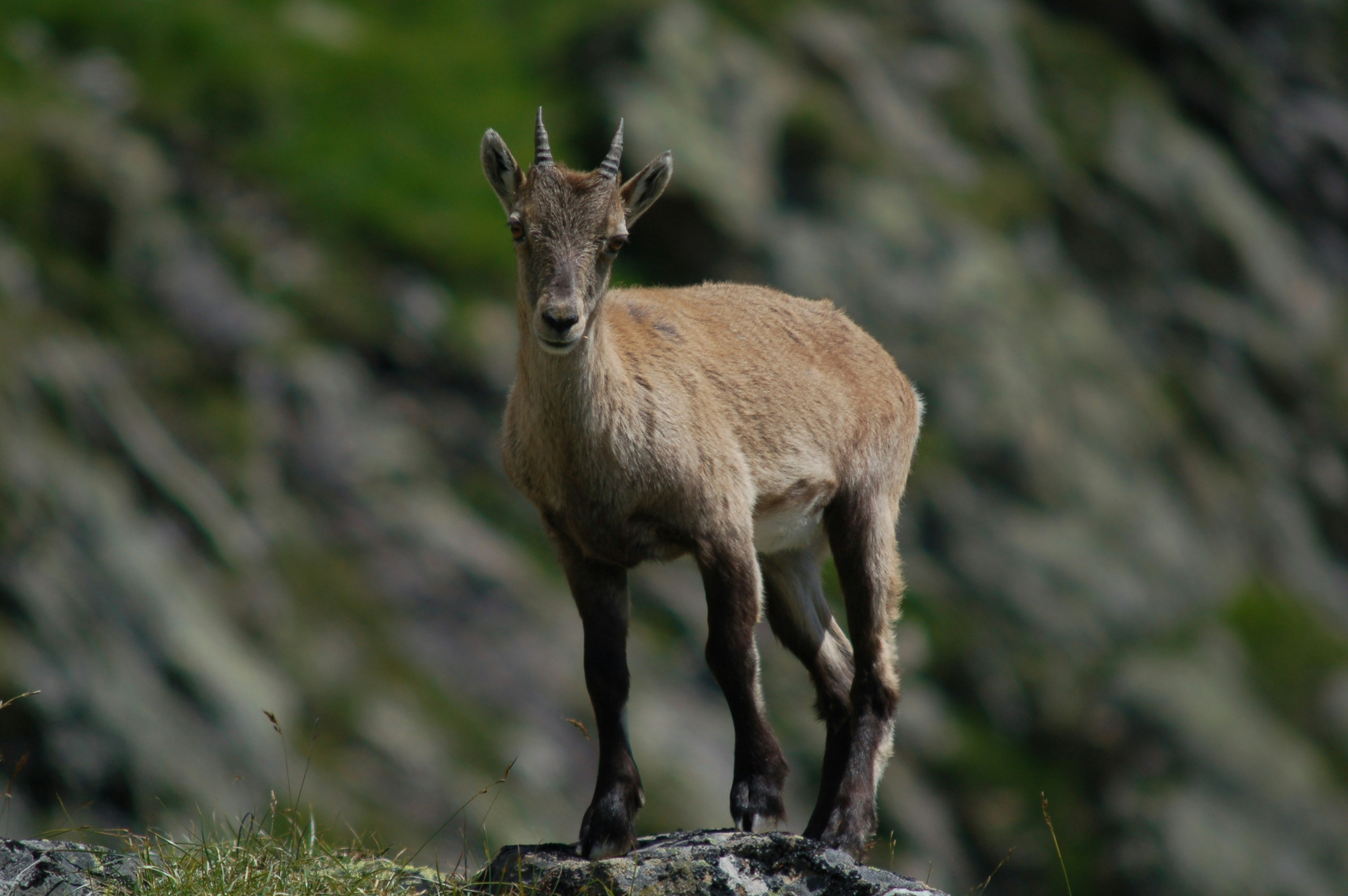 Photo by niklasbuschmann