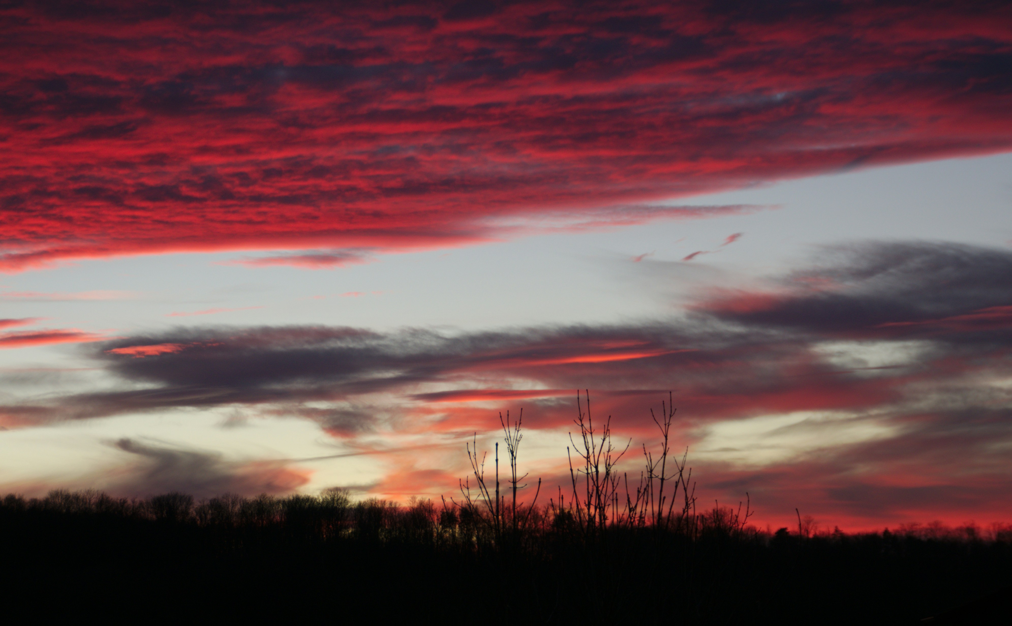 Photo by niklasbuschmann