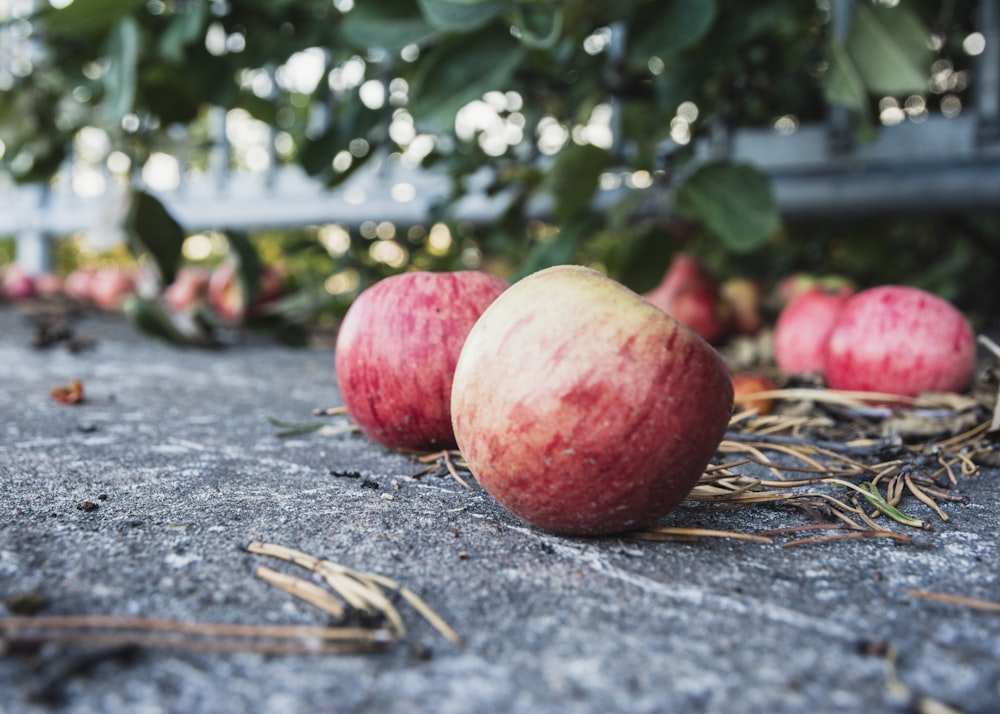 red and yellow apple fruit on gray concrete floor