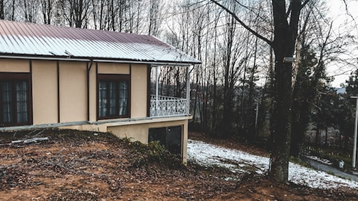 A house with a metal roof and large windows stands on a slightly sloped, partially snowy ground. Leafless trees surround the house, contributing to a wintry atmosphere.