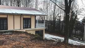 A house with a metal roof and large windows stands on a slightly sloped, partially snowy ground. Leafless trees surround the house, contributing to a wintry atmosphere.