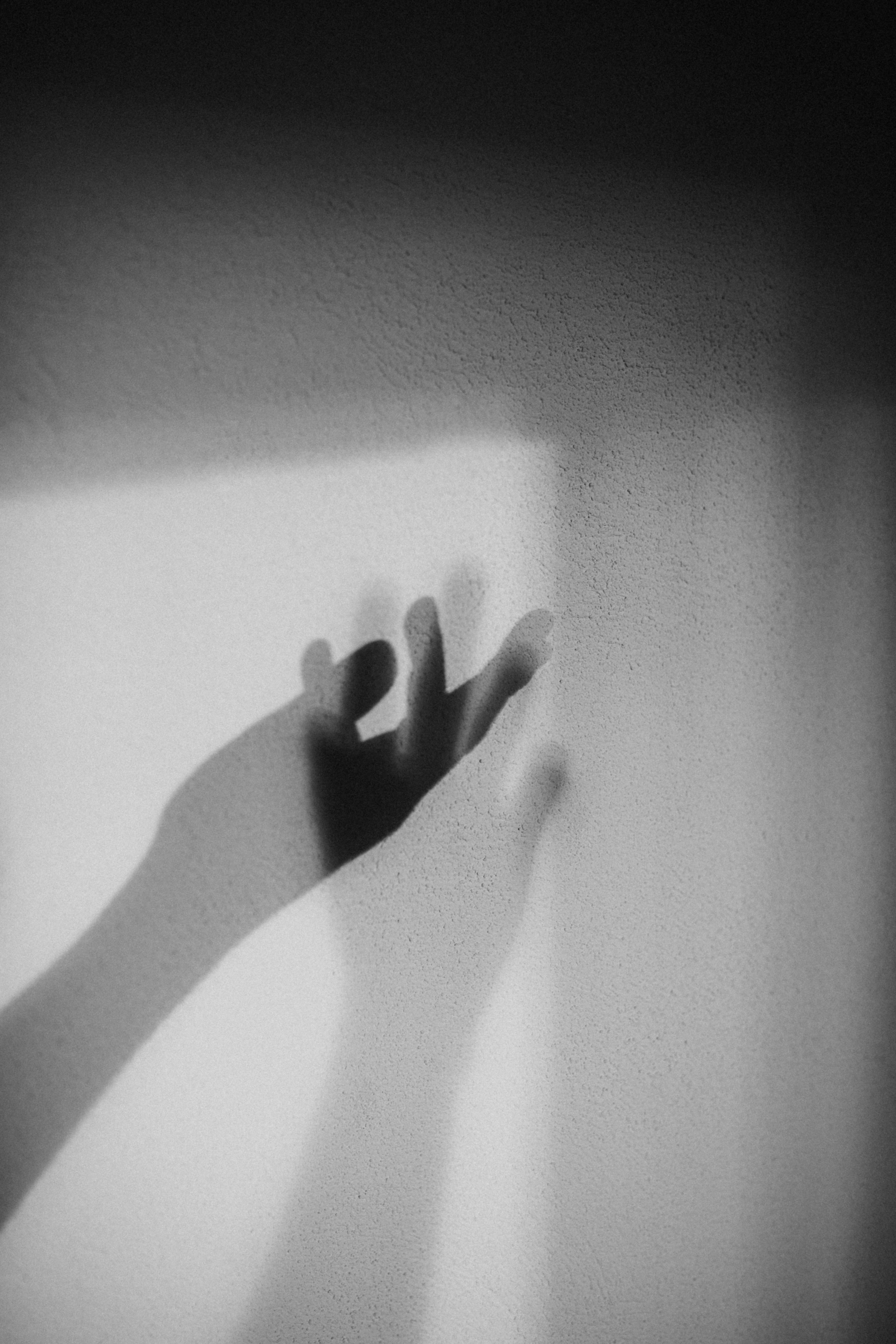 Photo by barnikakovacs