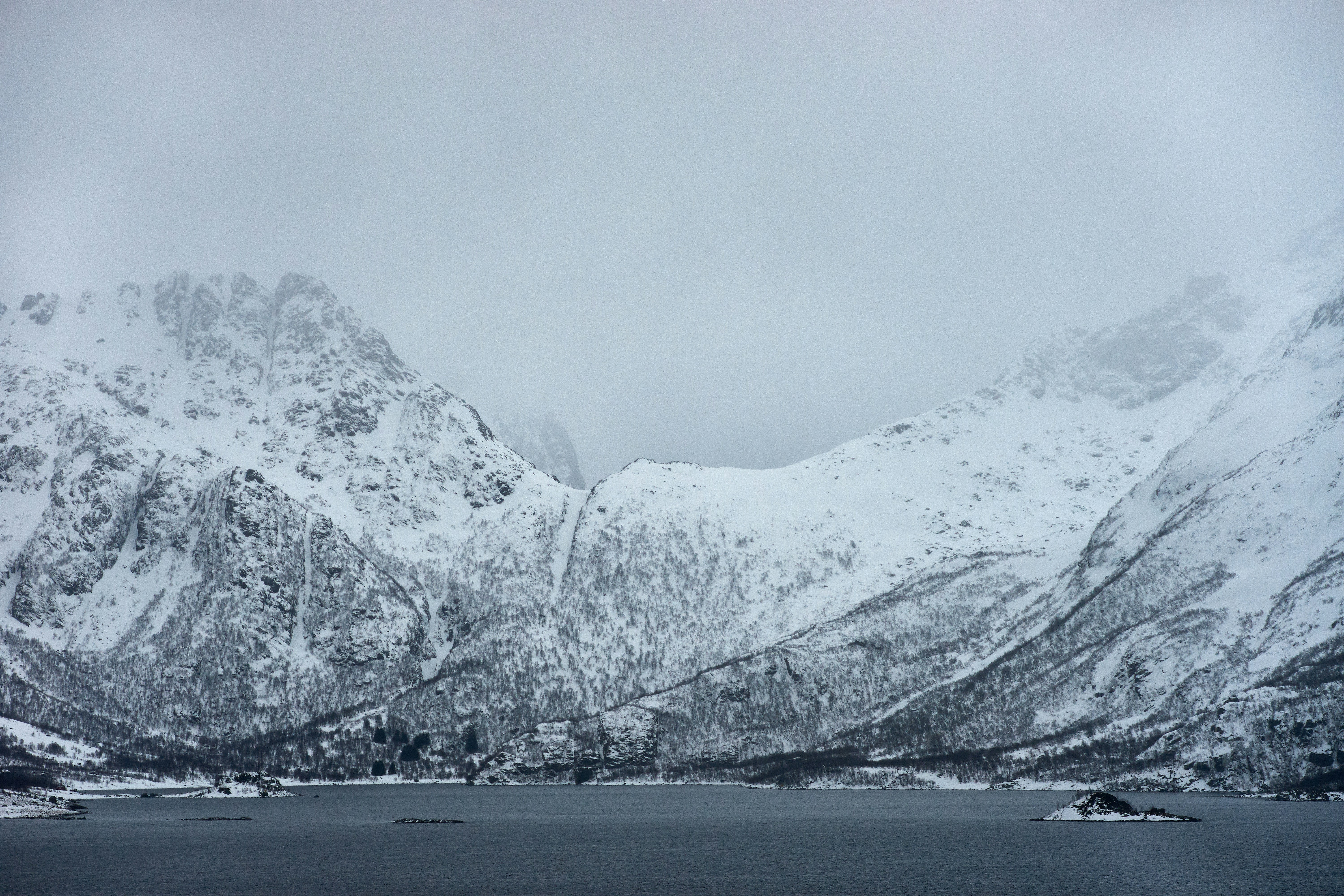 Photo by wolfgang_hasselmann