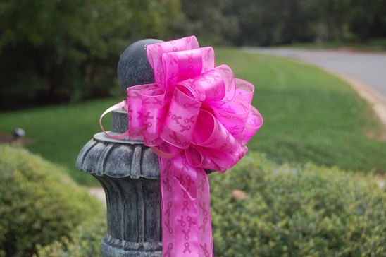 A large, pink ribbon with awareness symbols is tied around a stone or metal post, situated outdoors with greenery and a road in the background.
