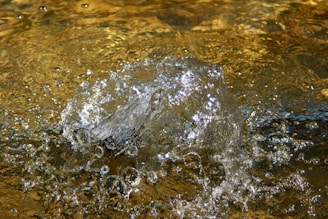 the science of hydration. top 10 effects of drinking water on your body