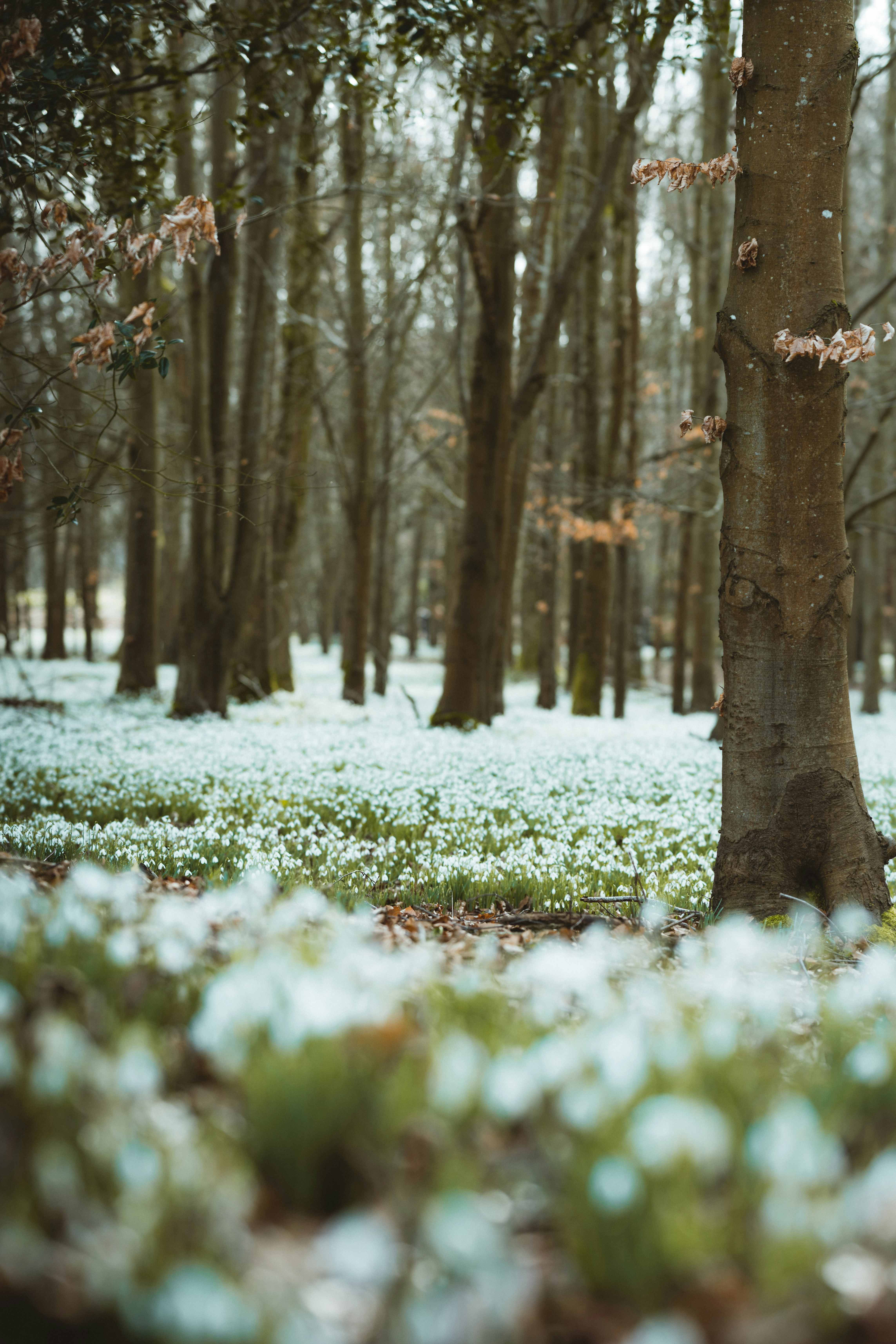 Photo by anniespratt