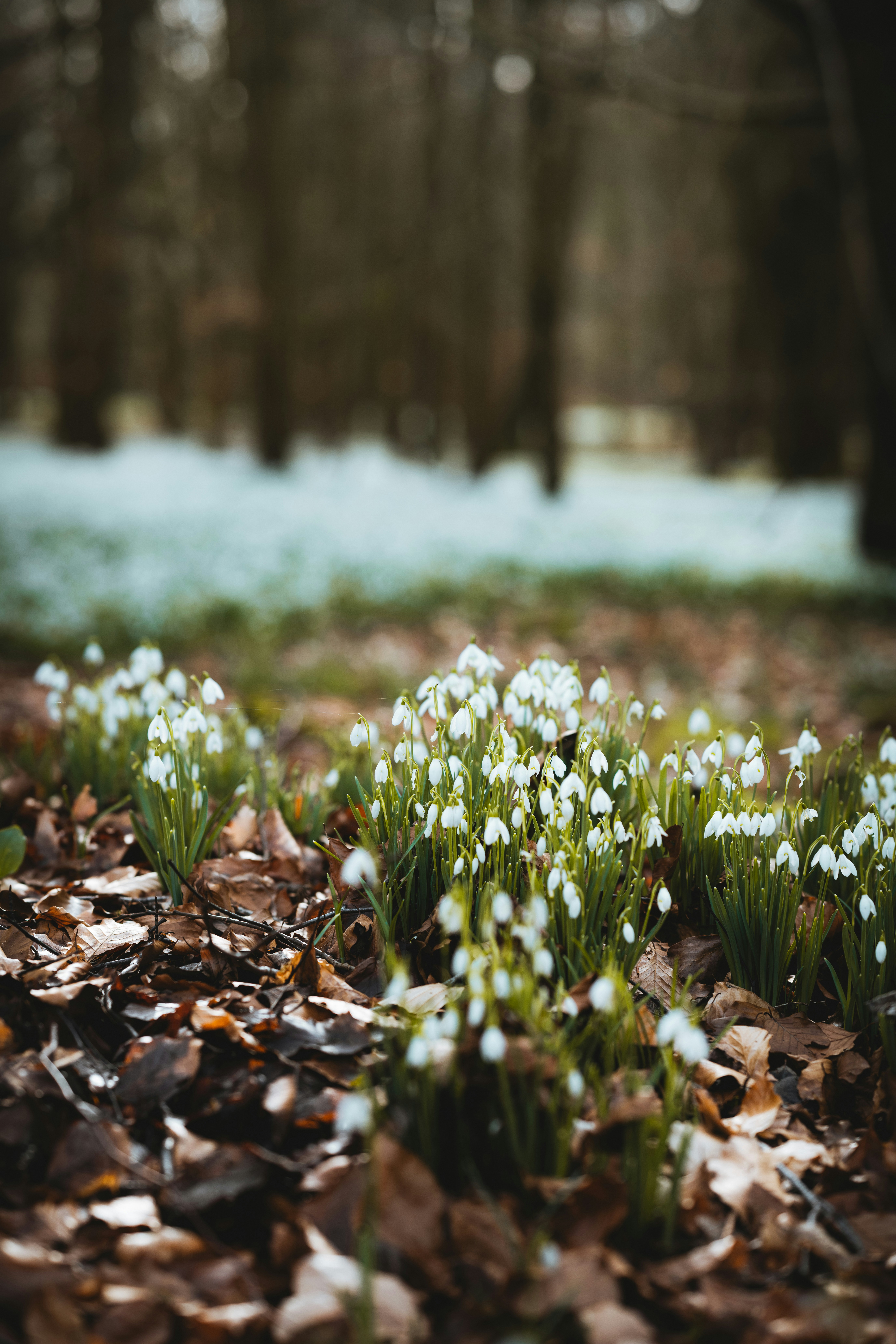 Photo by anniespratt