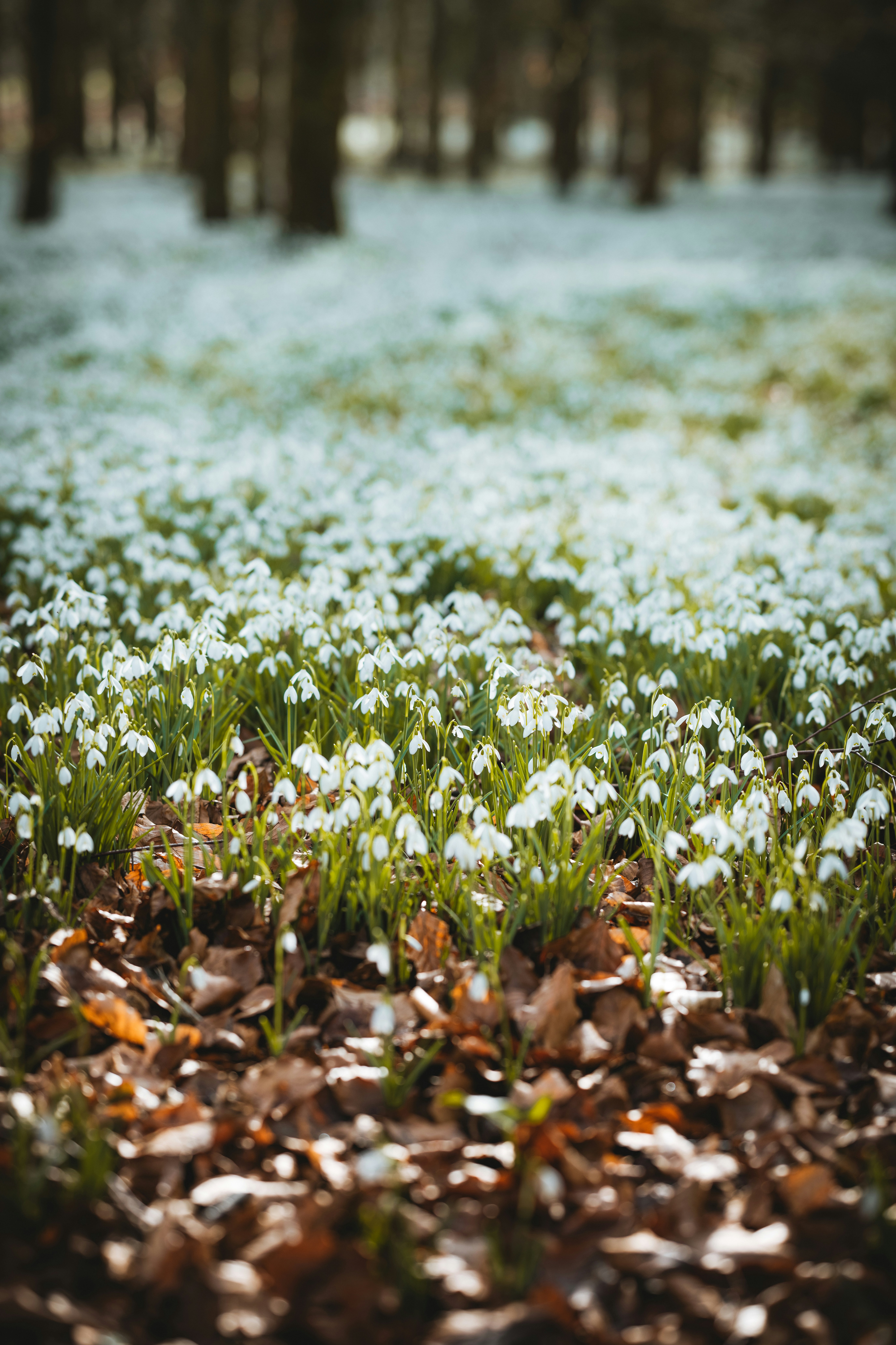 Photo by anniespratt