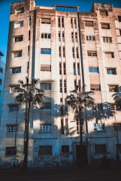 A sunny South Florida apartment building with palm trees and a clear blue sky.