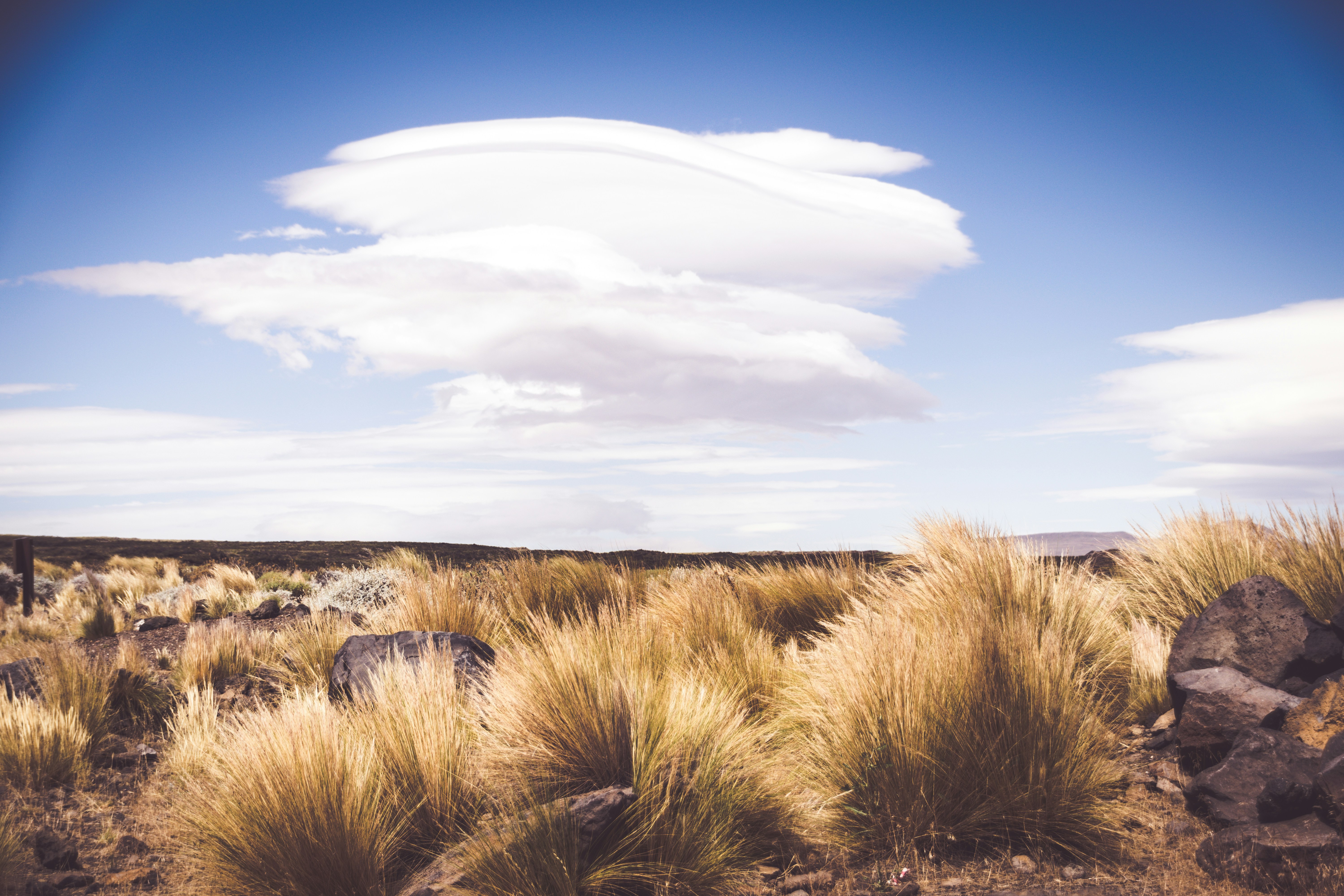 Photo by galanflorencia