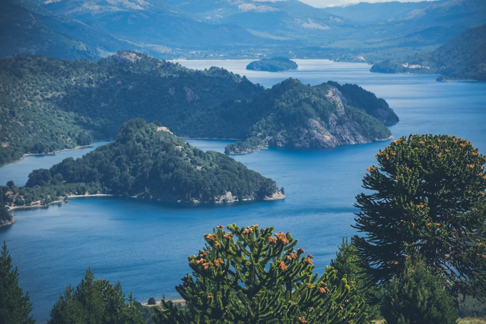 green trees on island during daytime