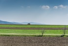 green grass field under white clouds during daytime
