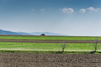 green grass field under white clouds during daytime