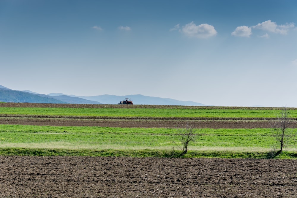 Champ d’herbe verte sous les nuages blancs pendant la journée