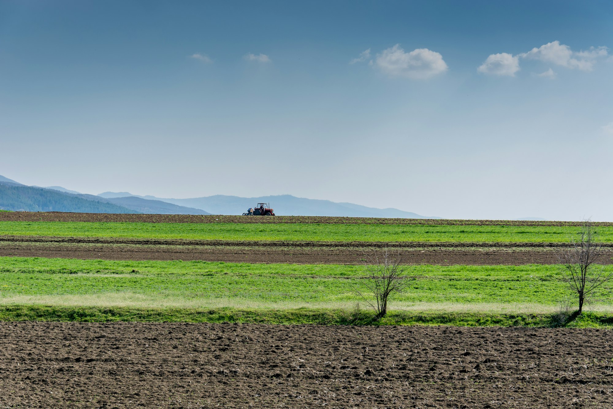 UAE bank unveils a $27 million initiative to support AgriTech firms