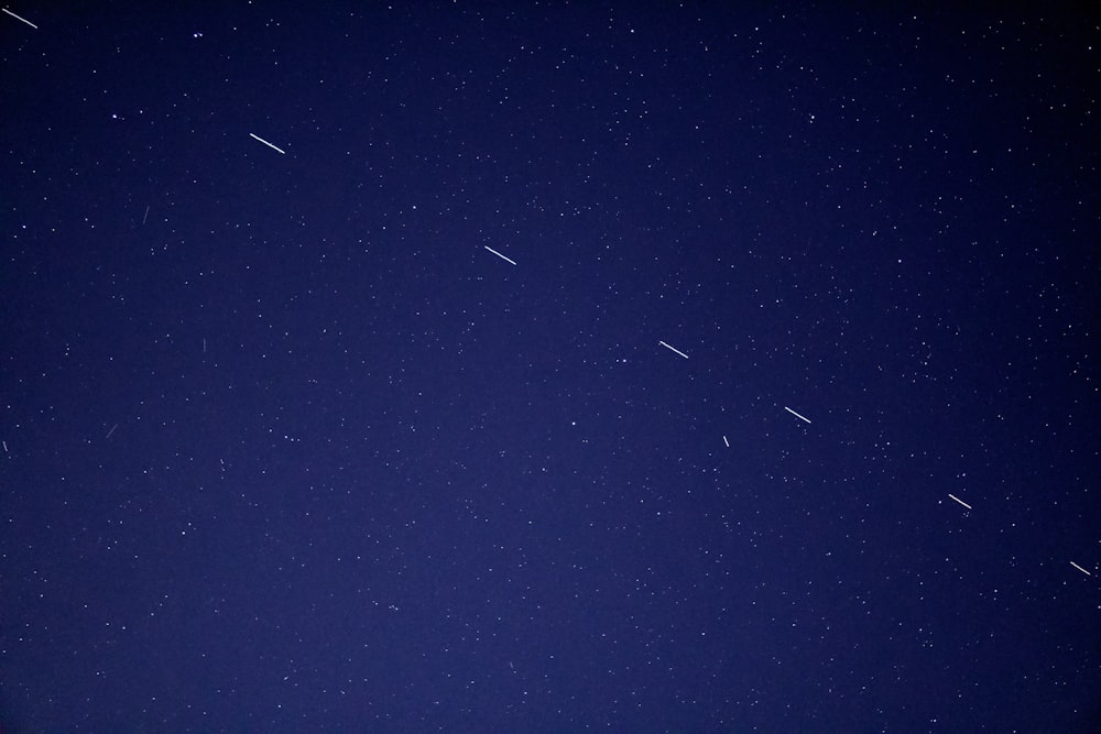 birds flying in the sky during night time