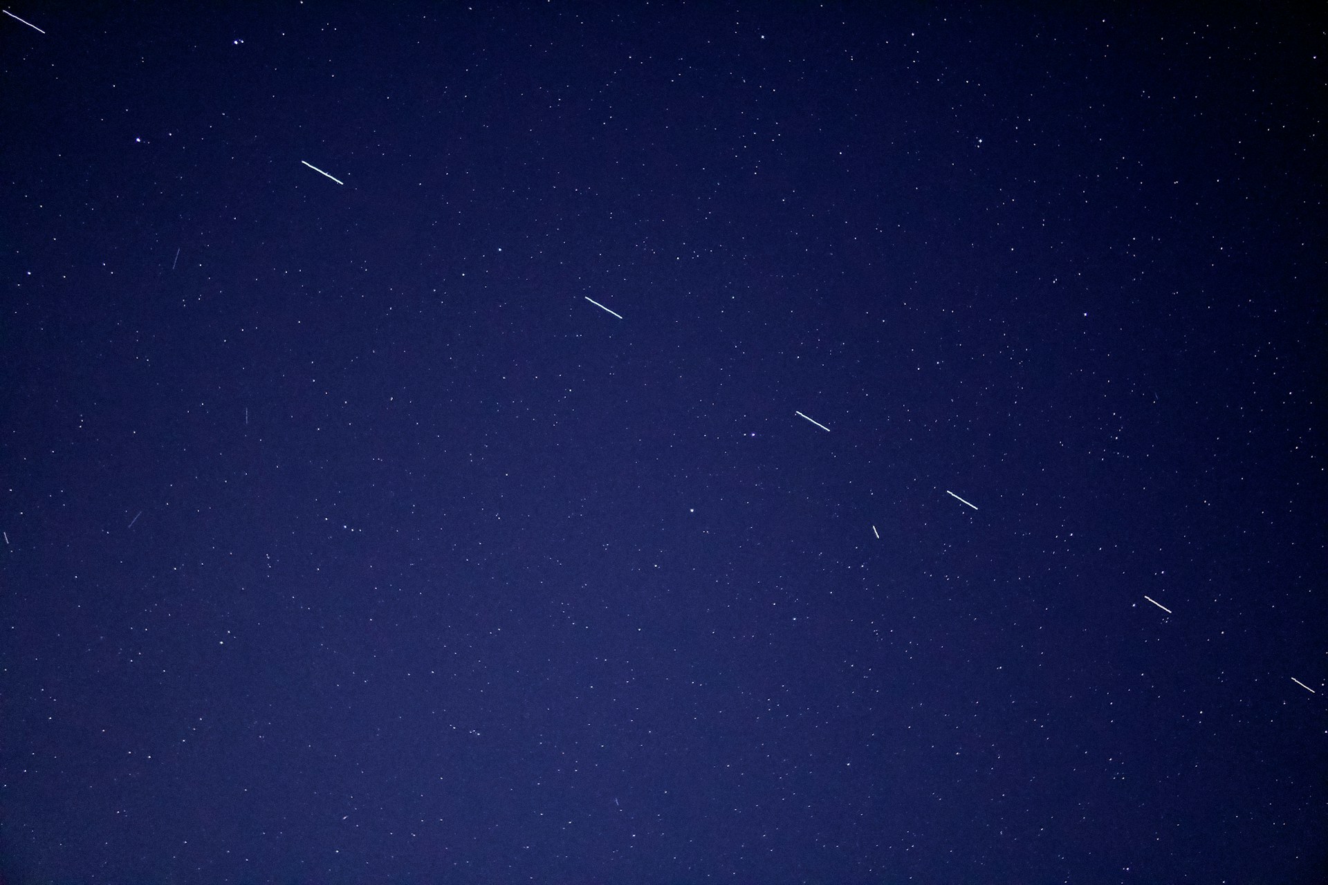 birds flying in the sky during night time