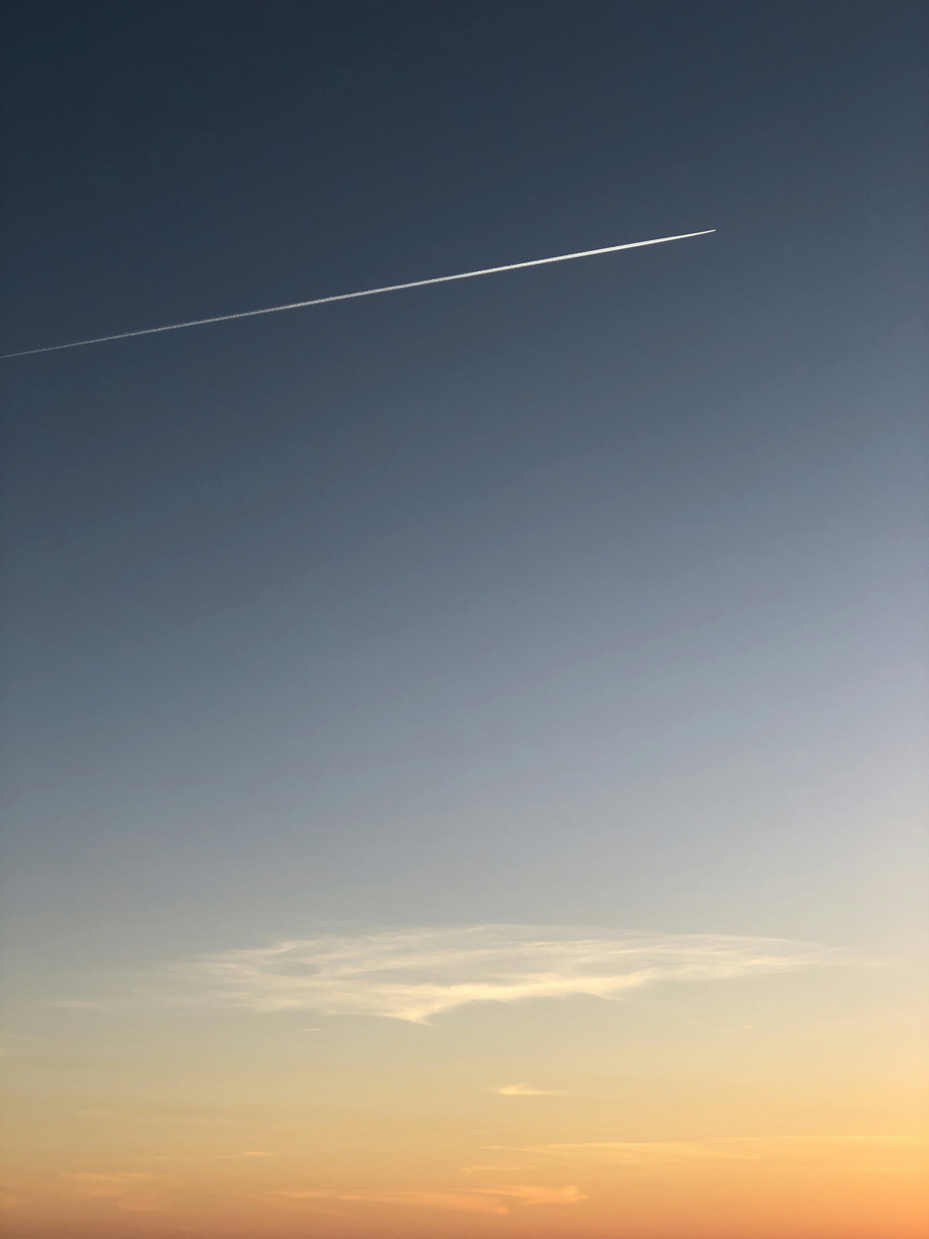 Photo by mauriciosantana