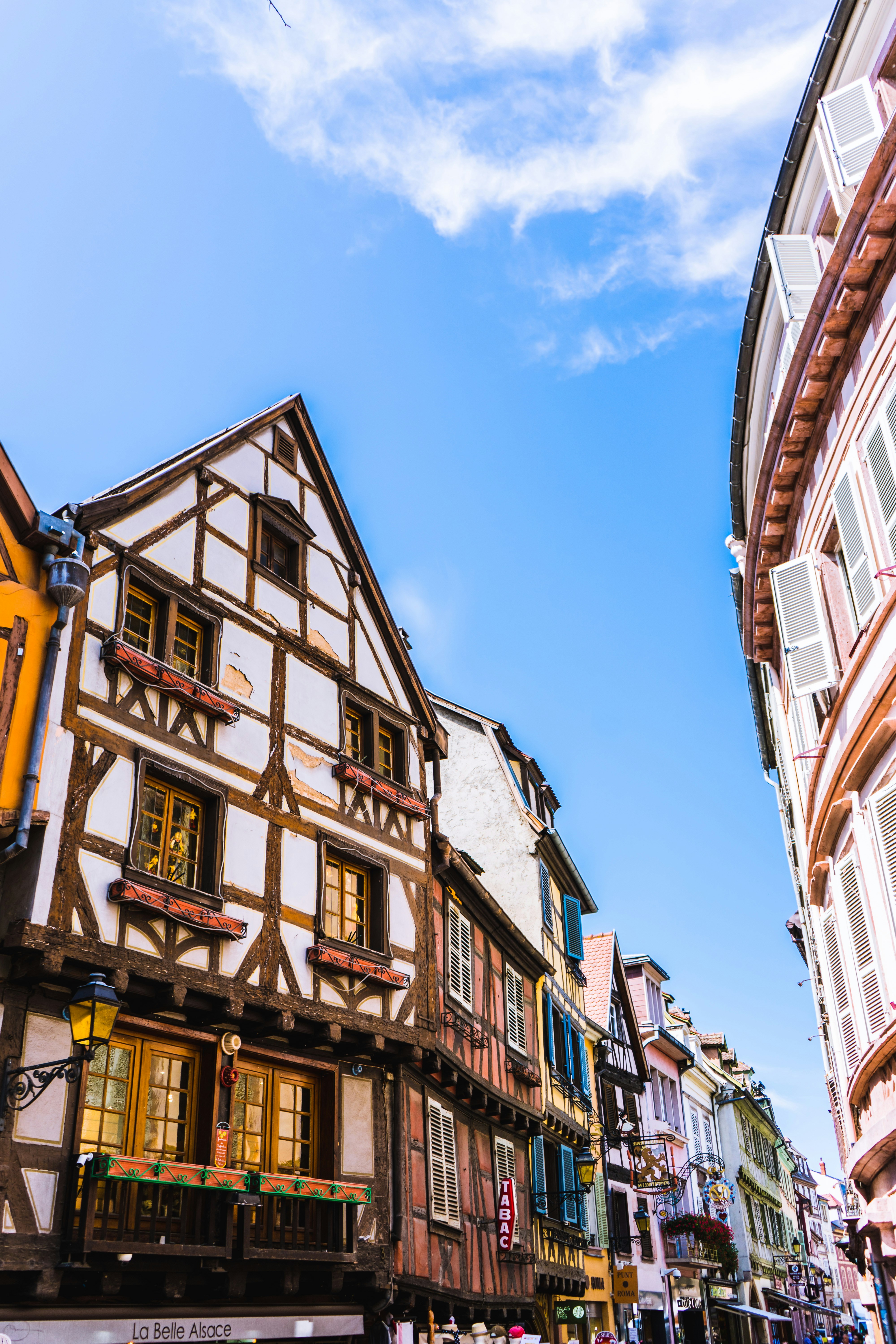 Photo by virussinside