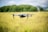 A drone hovers in the air amidst a grassy field with a backdrop of green trees and a slightly cloudy sky. The focus is on the drone, with its camera and propellers clearly visible.