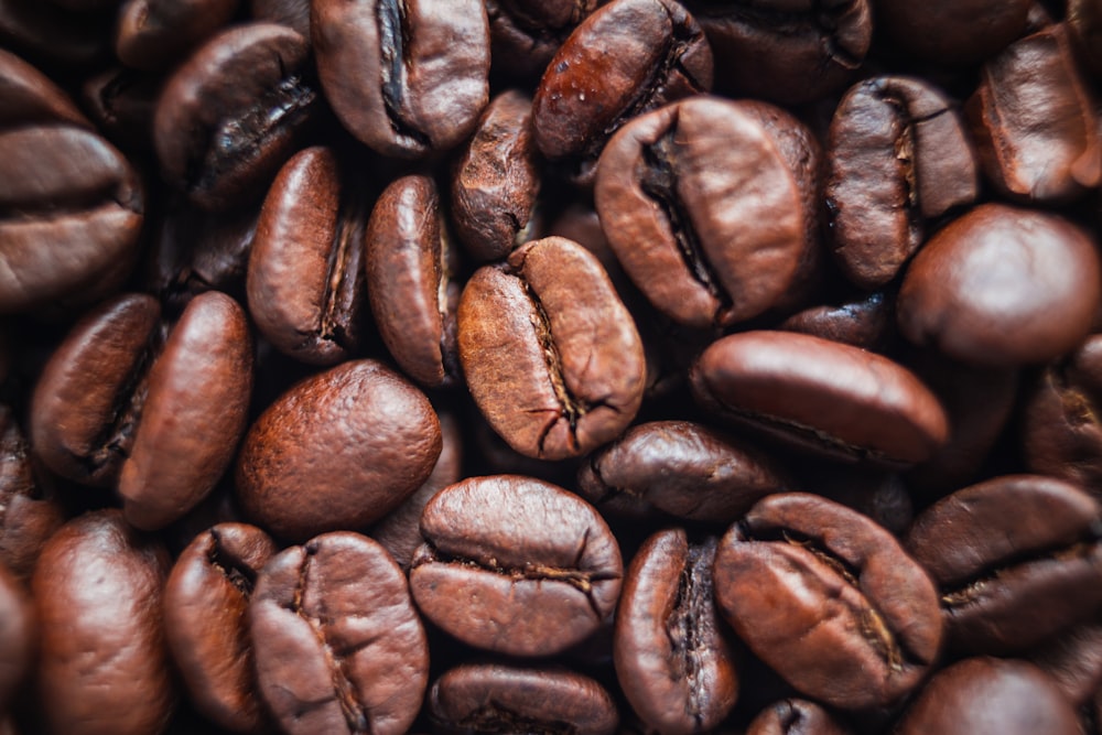 brown coffee beans in close up photography